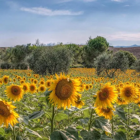 6 Bedroom In Lamporecchio